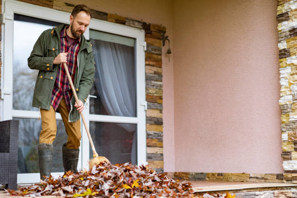 Debris Removal in Auburn, IL
