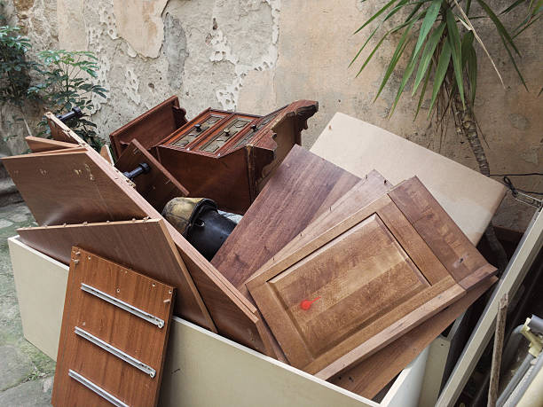 Best Yard Waste Removal  in Auburn, IL